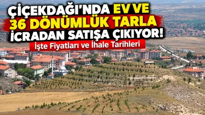 Yerköy Sulh Hukuk Mahkemesi Satış Memurluğu tarafından Çiçekdağı ilçesinde bulunan
