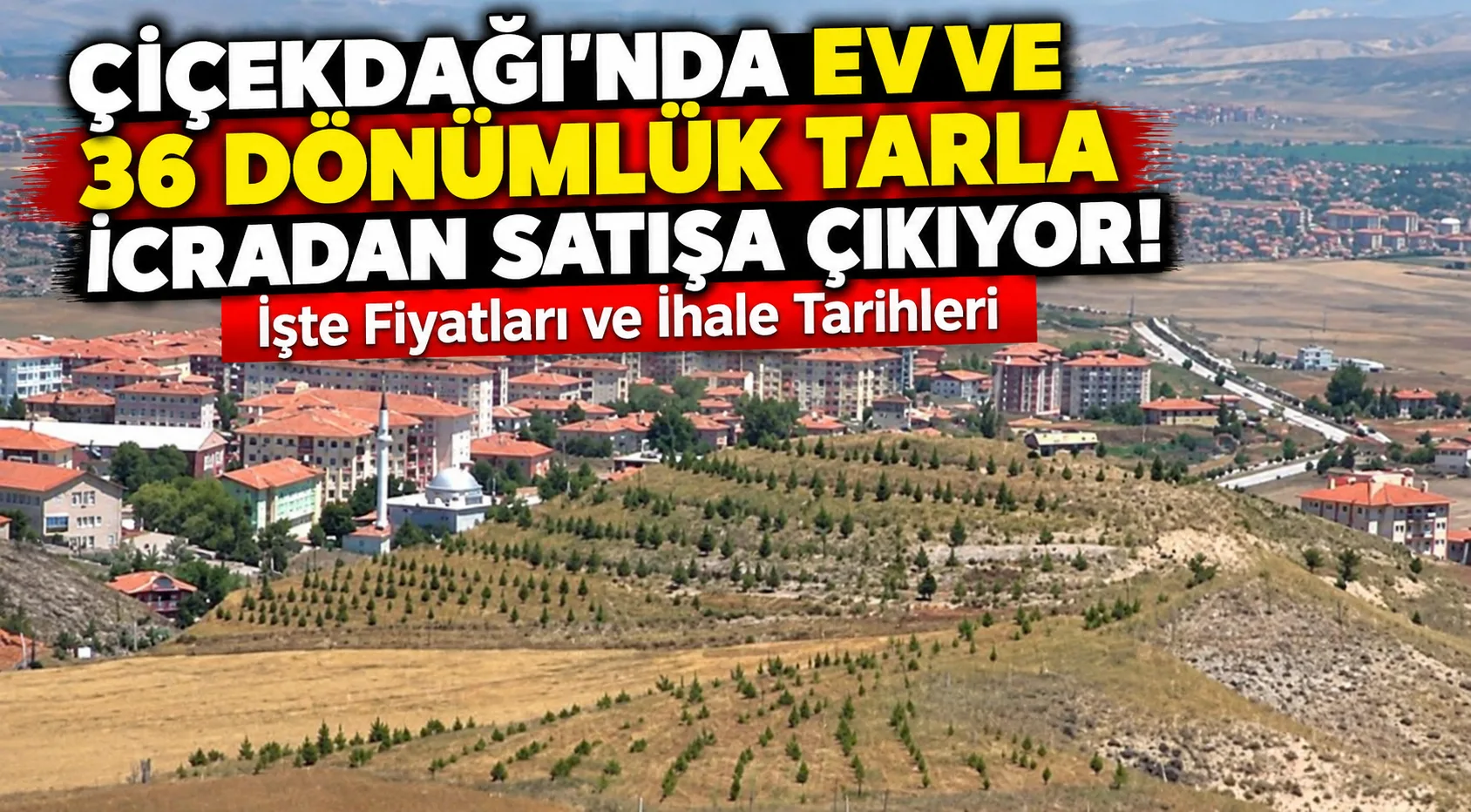 Yerköy Sulh Hukuk Mahkemesi Satış Memurluğu tarafından Çiçekdağı ilçesinde bulunan