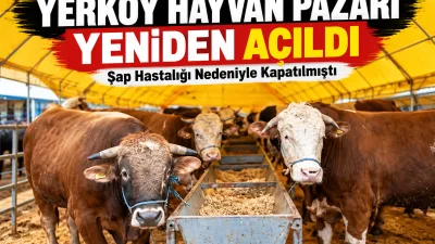 Şap hastalığına karşı alınan tedbirler kapsamında bir süredir kapalı bulunan