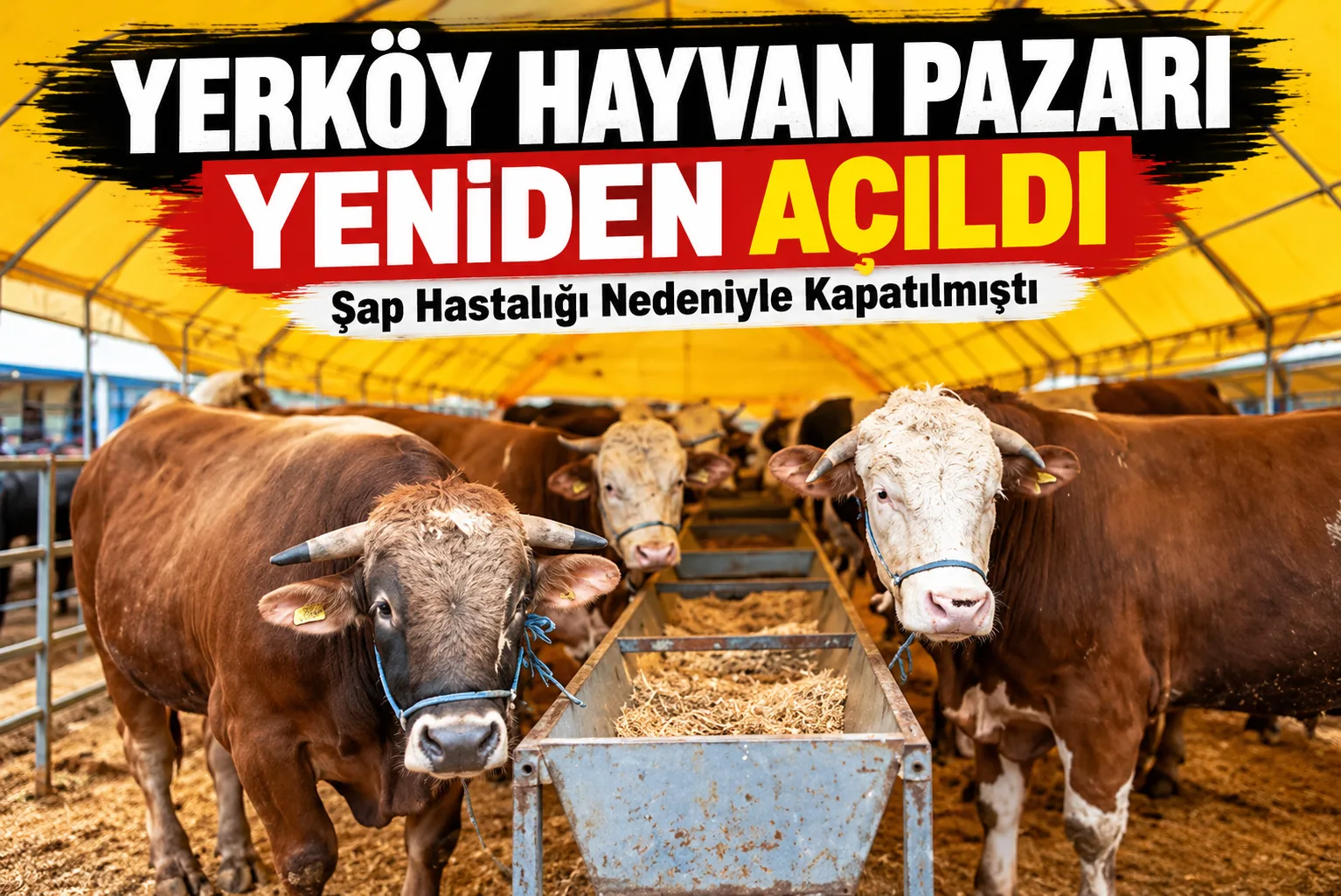 Şap hastalığına karşı alınan tedbirler kapsamında bir süredir kapalı bulunan