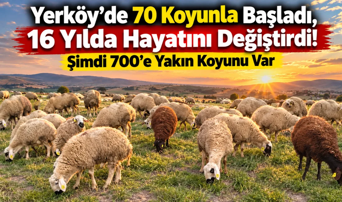 Yerköy’de yaşayan Ahmet Bilir, 2010 yılında yalnızca 70 koyunla başladığı