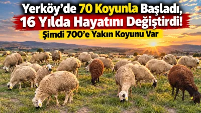Yerköy’de yaşayan Ahmet Bilir, 2010 yılında yalnızca 70 koyunla başladığı