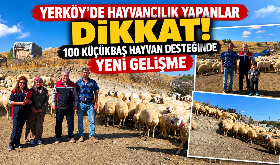 Tarım ve Orman Bakanlığı tarafından hayata geçirilen Kırsalda Bereket, Küçükbaşa