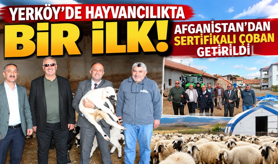 Yerköy ilçemize bağlı Çakırhacılı Köyü’nde küçükbaş hayvancılıkla uğraşan üreticilere yönelik